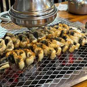 미인 민물장어 사진