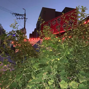 해물짬뽕탕수육 대표 사진