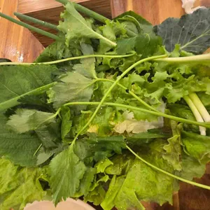 모내기 리뷰 사진
