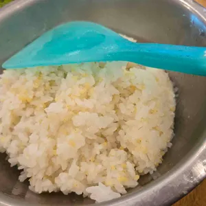 모내기 사진