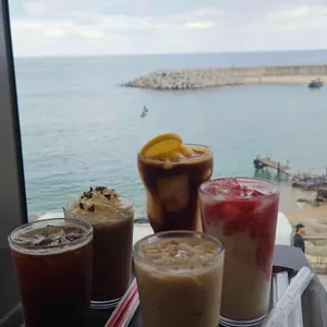 할리스 사진