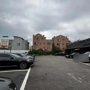 장비빔국수와 굴국밥 보쌈 리뷰 사진
