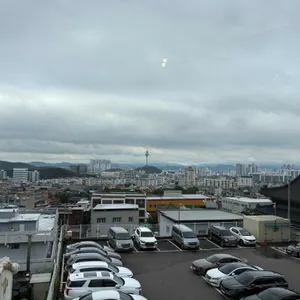 카펠라 리뷰 사진