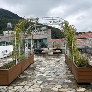카펠라 리뷰 사진