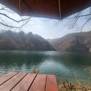 영숙백숙 리뷰 사진