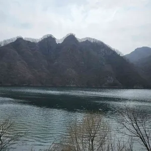 영숙백숙 리뷰 사진