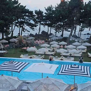 바다다 in 누바비치 대표 사진
