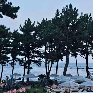 바다다 in 누바비치 리뷰 사진