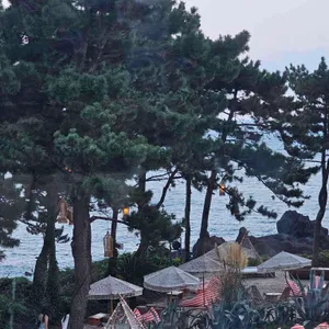 바다다 in 누바비치 리뷰 사진