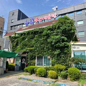 송천민물매운탕 리뷰 사진