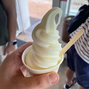 우유부단 대표 사진