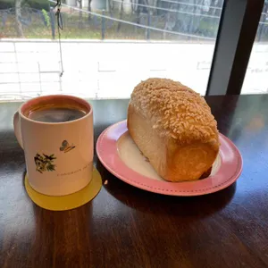 콩부인더오븐 사진