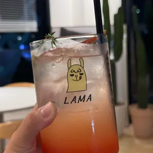 라마 사진