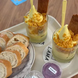라마 대표 사진