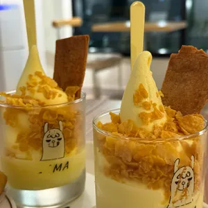 라마 사진