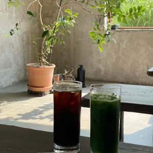 앙떼떼페레 사진