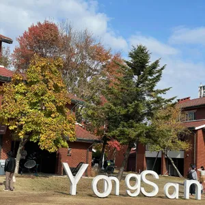 카페 언타이틀드 리뷰 사진