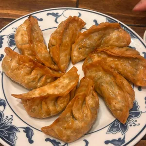 팅팅 사진