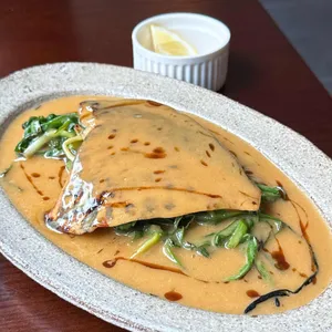 브라체 대표 사진