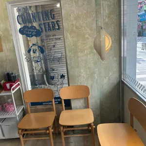 카운팅스타 리뷰 사진