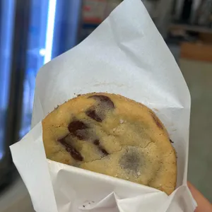 카운팅스타 사진