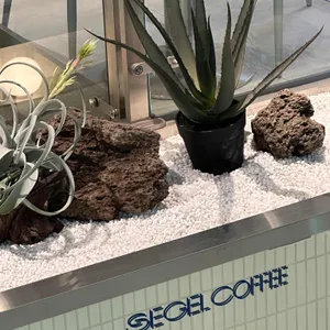 세젤커피 리뷰 사진