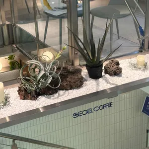 세젤커피 리뷰 사진