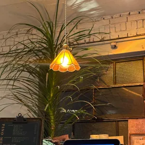 피노 리뷰 사진