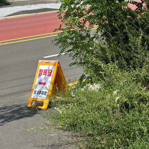 청옥담 리뷰 사진