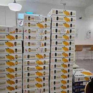 헤이스위티 리뷰 사진