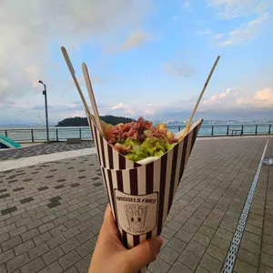 브뤼셀프라이 사진 2