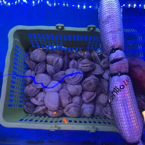 골목포차 리뷰 사진