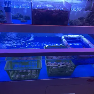 골목포차 리뷰 사진