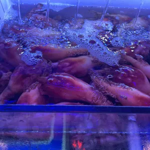 골목포차 리뷰 사진