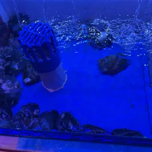 골목포차 리뷰 사진