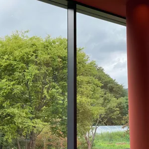 스코그 리뷰 사진