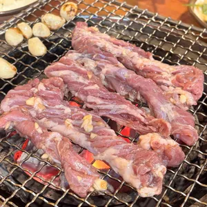 서원갈매기 사진