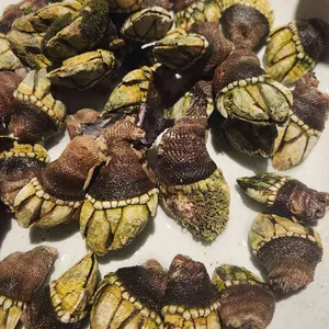 락희옥 리뷰 사진