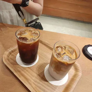 포비 사진