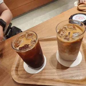 포비 사진
