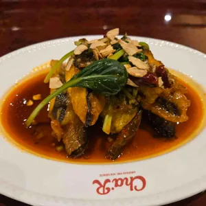 차알 리뷰 사진