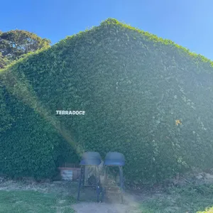 테라도스 리뷰 사진