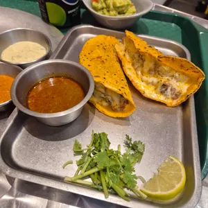 더타코부스 사진 1