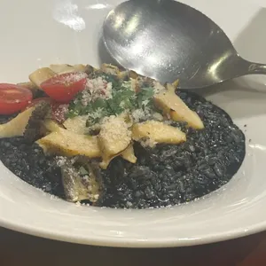 올리브 에비뉴 사진
