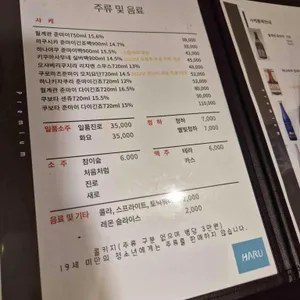 하루 리뷰 사진