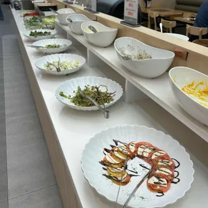 샤브자작나무 사진