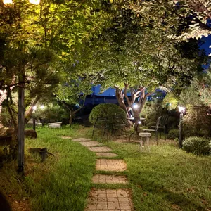 호운 리뷰 사진