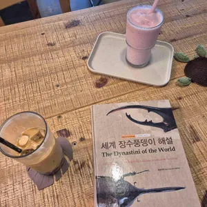 에코브릿지 사진