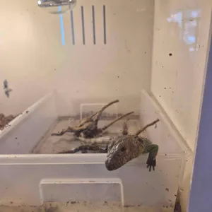 에코브릿지 리뷰 사진