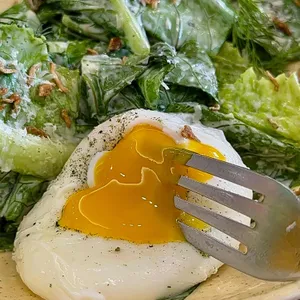 센시 리뷰 사진